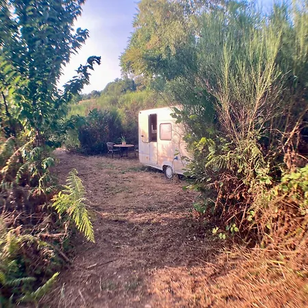 Escale Nature Lot - Simple And Authentic